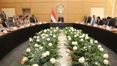  لجنة الاستفادة من العناصر الأرضيّة النادرة والحرجة تعقد أول اجتماعاتها برئاسة وزير الكهرباء 