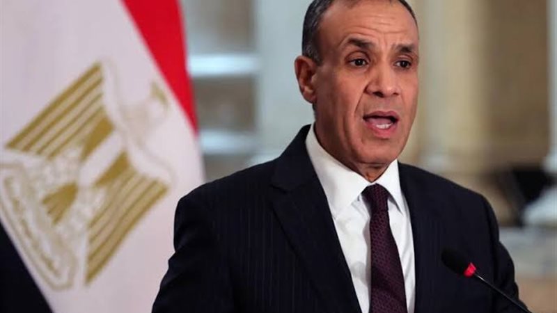 وزير الخارجية المصرية