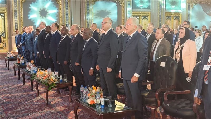 وزير الكهرباء