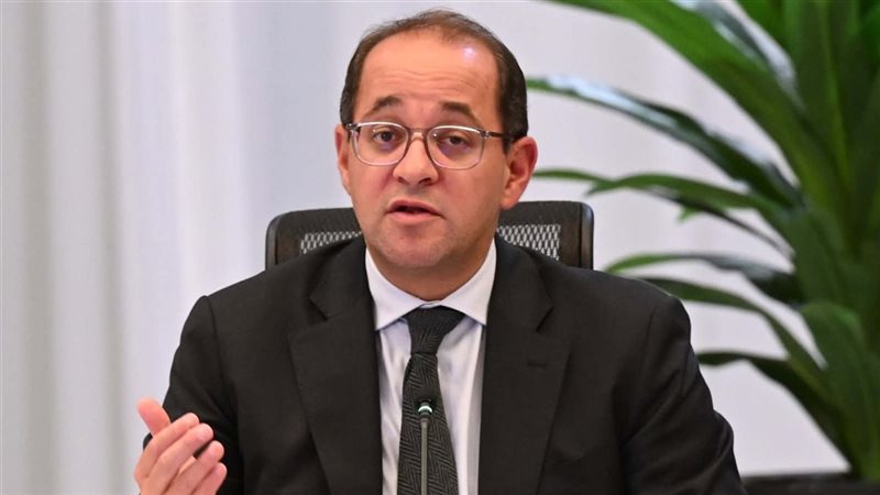 وزير المالية