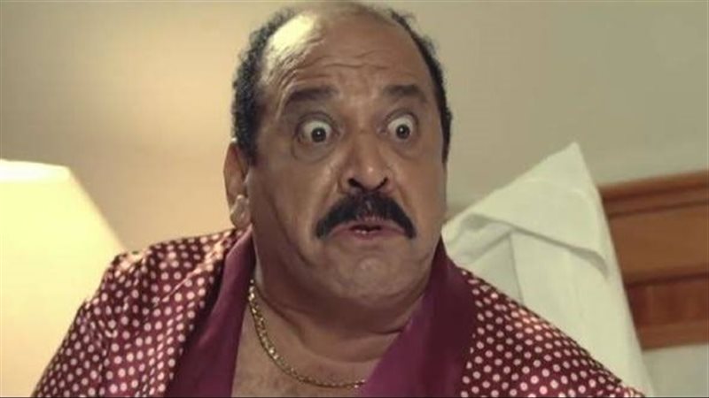 ضياء الميرغني