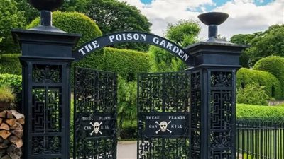 حديقة السموم في بريطانيا..جنة قاتلة تُخضع زوارها لإشراف دقيق خوفاً من الإغماء