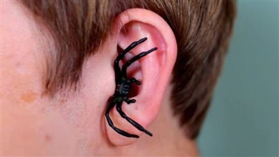 عنكبوت حي يقفز من أذن طفل روسي داخل المستشفى..واقعة تثير ذعر الأطباء