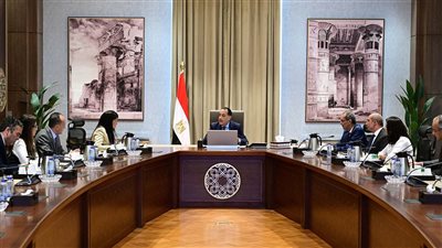 مدبولي يبحث مع اللجنة الاستشارية تعزيز ريادة الأعمال والاقتصاد الرقمي