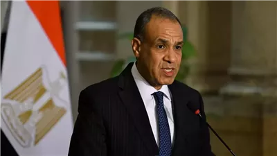 وزير الخارجية: مصر ستستخدم كل أدوات ميثاق الأمم المتحدة لحماية أمنها المائي