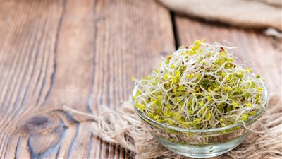 فوائد براعم البروكلي.. كنز غذائي يقوي المناعة وينظم الهضم ويحمي من السرطان