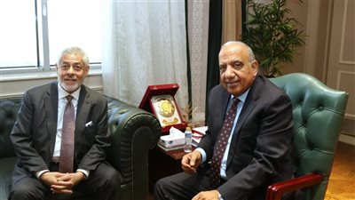 وزير الكهرباء يتابع مستجدات تنفيذ مشروع أبيدوس 2 للطاقة الشمسية بقدرة 1600 ميجاوات