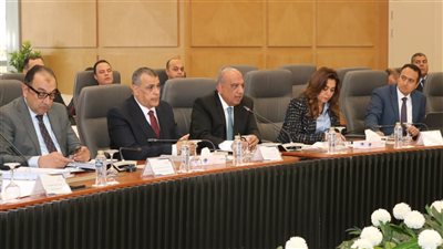 وزير الكهرباء يرأس اجتماع المجلس الأعلى للطاقة لمتابعة ضوابط توفير الطاقة للمشروعات الصناعية