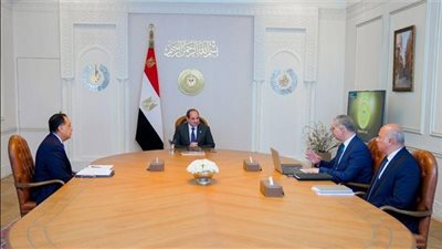 الرئيس السيسي يطلع على جهود الحكومة لتأمين الاحتياجات من الغاز خصوصًا في الصيف