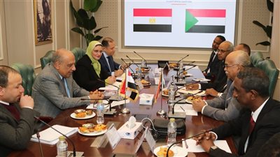 وزير الكهرباء يبحث مع نظيره السوداني سبل دعم وتعزيز الشراكة بمجالات الطاقات المتجددة