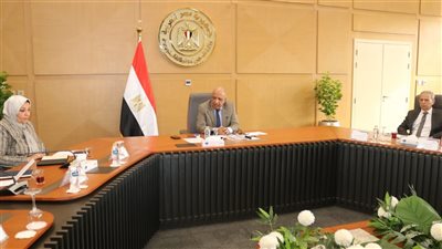 وزير الكهرباء يجتمع باللجنة الاستراتيجية لمتابعة مستجدات تنفيذ مشروعات الطاقات المتجددة