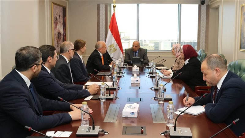 لقاء وزير الكهرباء