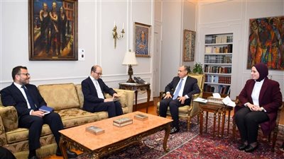 وزير الخارجية يبحث مع 