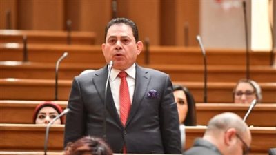 النائب فرج فتحي يحذر من آثار زيادة أسعار المحروقات على محدودي الدخل