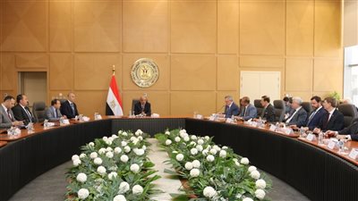 وزير الكهرباء يبحث مع وفد مجلس الدوما الروسي مستجدات مشروعات الطاقة النظيفة ومحطة الضبعة