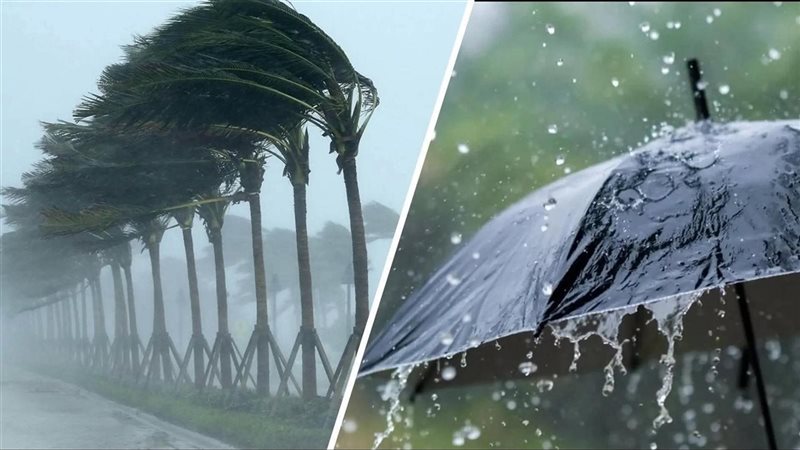 أحوال الطقس 