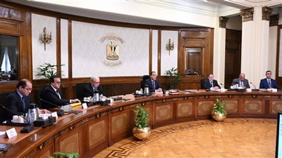 مدبولي يقود تحركًا عاجلًا لمواجهة تداعيات الأزمة ويطلق مبادرة الطاقة الشمسية