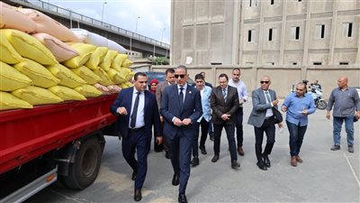محافظ الجيزة يكشف مستجدات توريد القمح 2026 بصومعة إمبابة وجاهزية 12 موقعًا