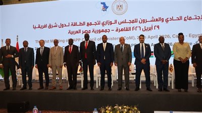 وزير الكهرباء: مصر دولة المقر الدائم لمشغل سوق الكهرباء في دول تجمع شرق افريقيا 