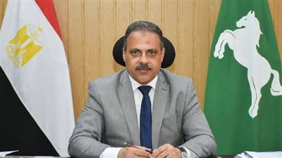 تجهيز سيارات الضباب وحملات على محلات العصير.. أبرز توجيهات محافظ الشرقية بالمجلس التنفيذي