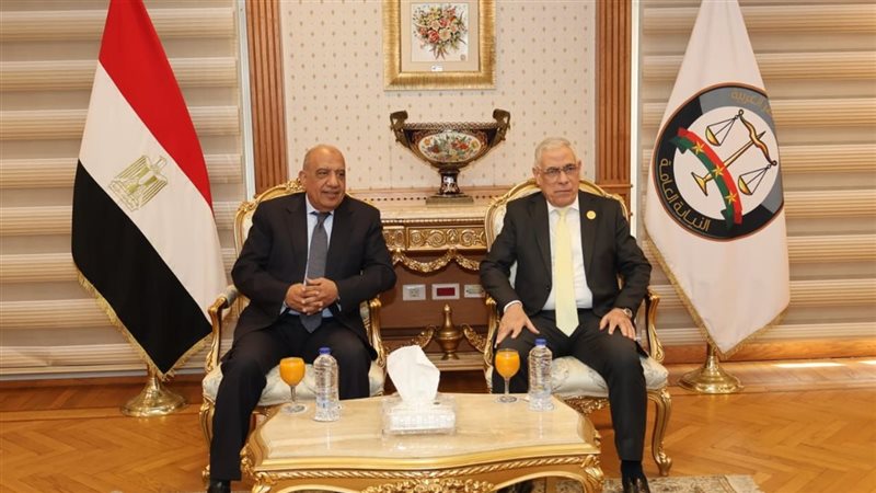 وزير الكهرباء والنائب