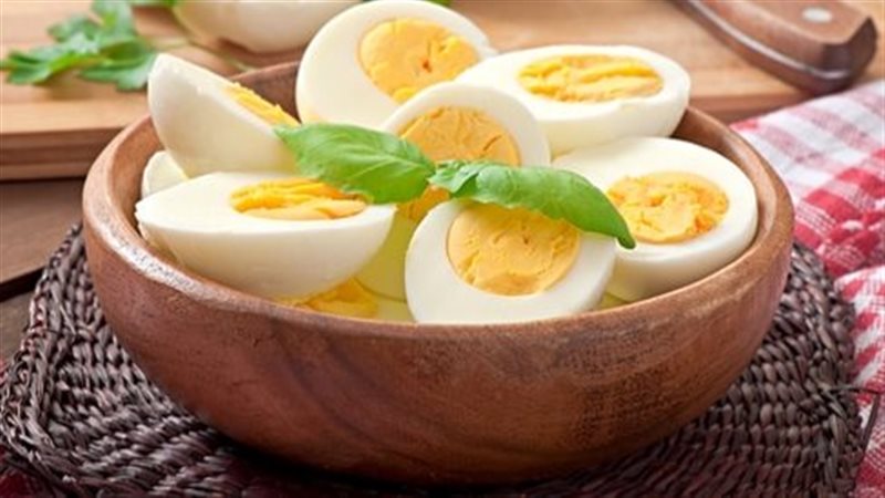فوائد البيض 