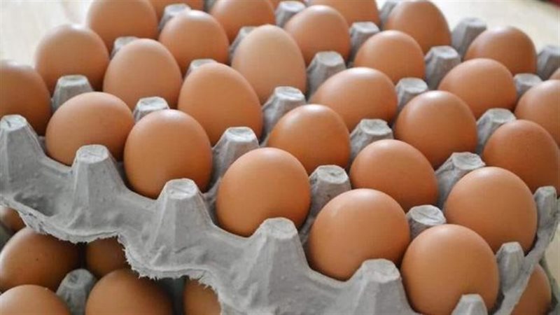 اسعار البيض 