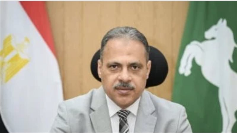 مححافظ الشرقية