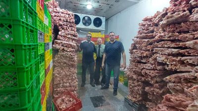 صور.. الجيزة تضبط 42 طنًا من اللحوم ومخلفات الدواجن الفاسدة بهذه المناطق