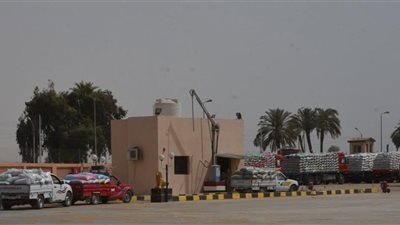 استلام 354 ألف طن من الأقماح المحلية بالصوامع والشون ببنى سويف