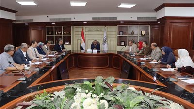 محافظ بني سويف يجتمع بلجنة مبادرة بني سويف محافظة صديقة لذوي الإعاقة
