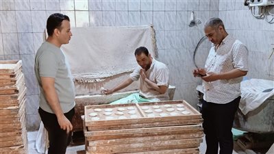 ضبط طن مواد غذائية مجهولة المصدر وتحرير 75 محضرًا للمخابز ببنى سويف