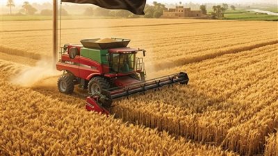 مصر تتصدر عربيًا في إنتاج القمح 2026..الفاو تكشف حجم الإنتاج وتراجع الواردات