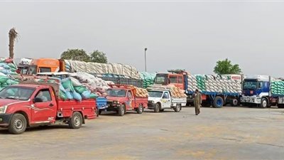  ضبط سلع غذائية منتهية الصلاحية وكميات من الدقيق المدعم قبل بيعها بالسوق 
