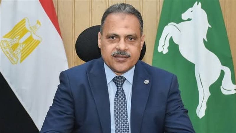 محافظ الشرقية