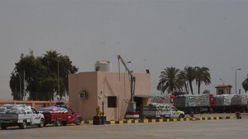 تسليم الاقماح ببنى سويف للشون والصوامع