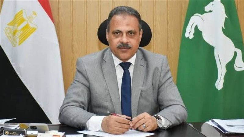  محافظ الشرقية