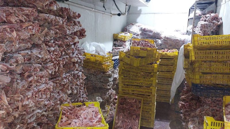 ضبط دواجن فاسدة