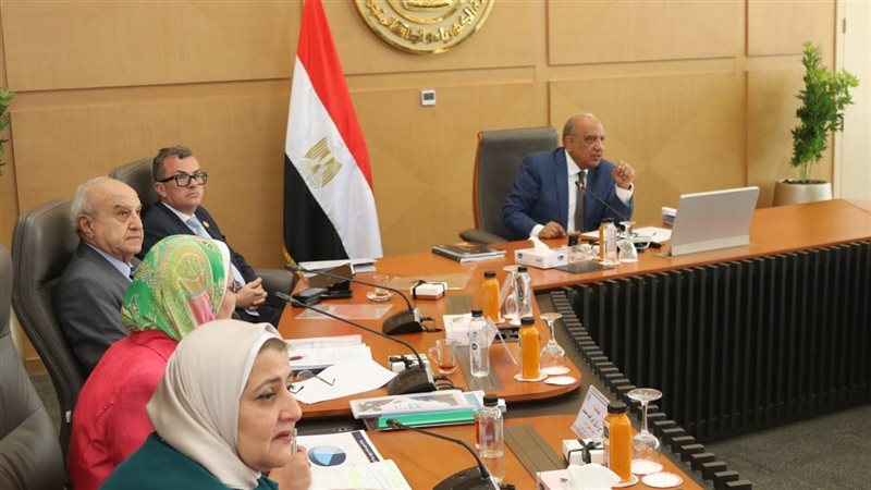 وزير الكهرباء خلال