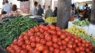 أسعار الطماطم اليوم.. الكيلو يصل إلى 50 جنيهًا ونقيب الفلاحين يكشف أسباب الارتفاع
