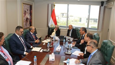 وزير الكهرباء يستقبل سفيرة فنلندا بالقاهرة ووفدا من وارتسيلا الفنلندية لبحث سبل التعاون