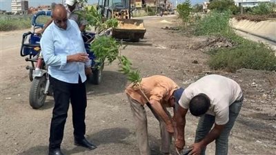 «حظر نهائى لقطع الأشجار».. قرار عاجل في الشرقية وتحذيرات للمخالفين