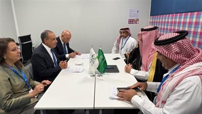 وزير الخارجية يبحث زيادة تمويلات الصندوق السعودي للتنمية للمشروعات الحيوية في مصر