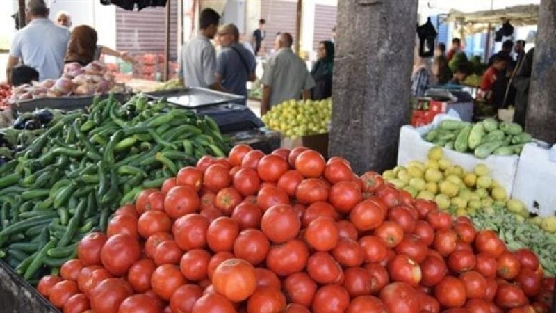 اسعار الطماطم 