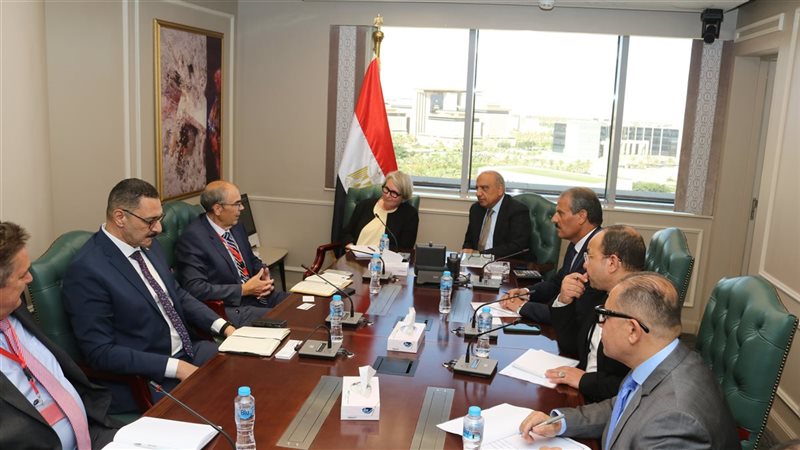 وزير الكهرباء يستقبل