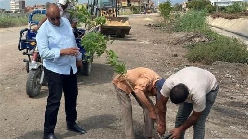حظر نهائى لقطع الأشجار