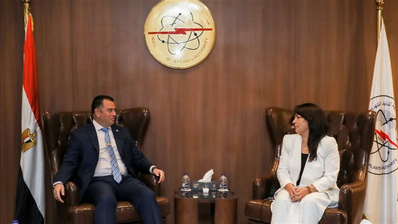 رئيس المحطات النووية