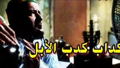 ”كداب كدب الإبل”..اعرف قصة المثل وسبب اختيار الجمال