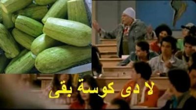 ”ماهي كوسه”..أصل المثل يعود لعصر المماليك وهذه قصته