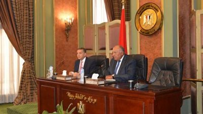 شكرى يطالب سفراء مصر بالترويج لإنجازات البلاد